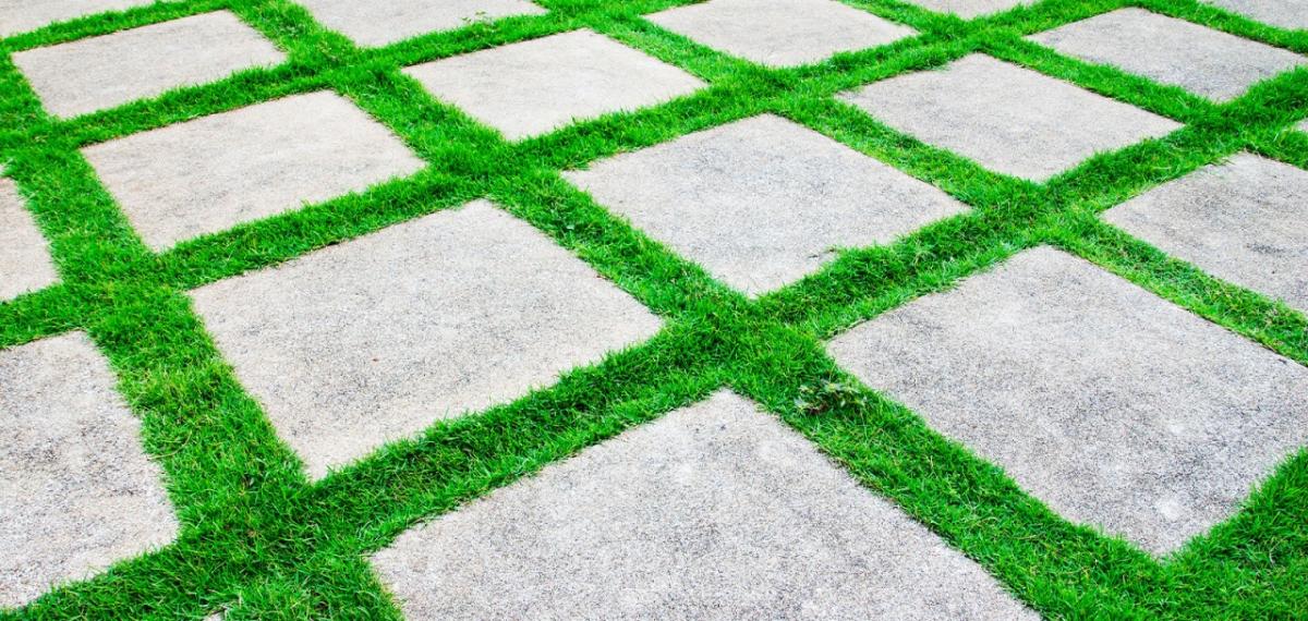 Grass and paving stones