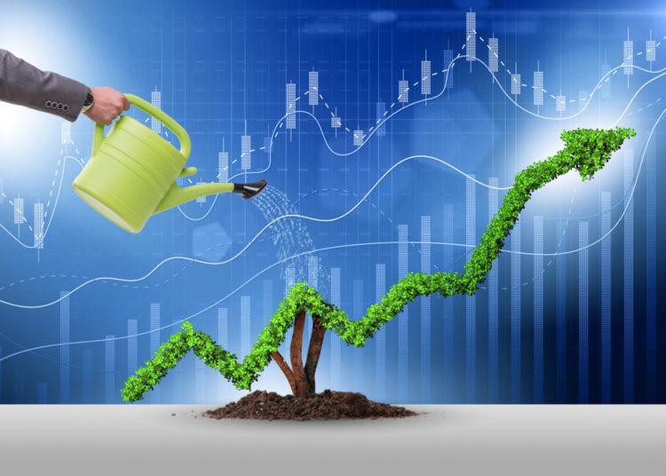 abstract image of person watering a plant whose leaves form a line graph trending up