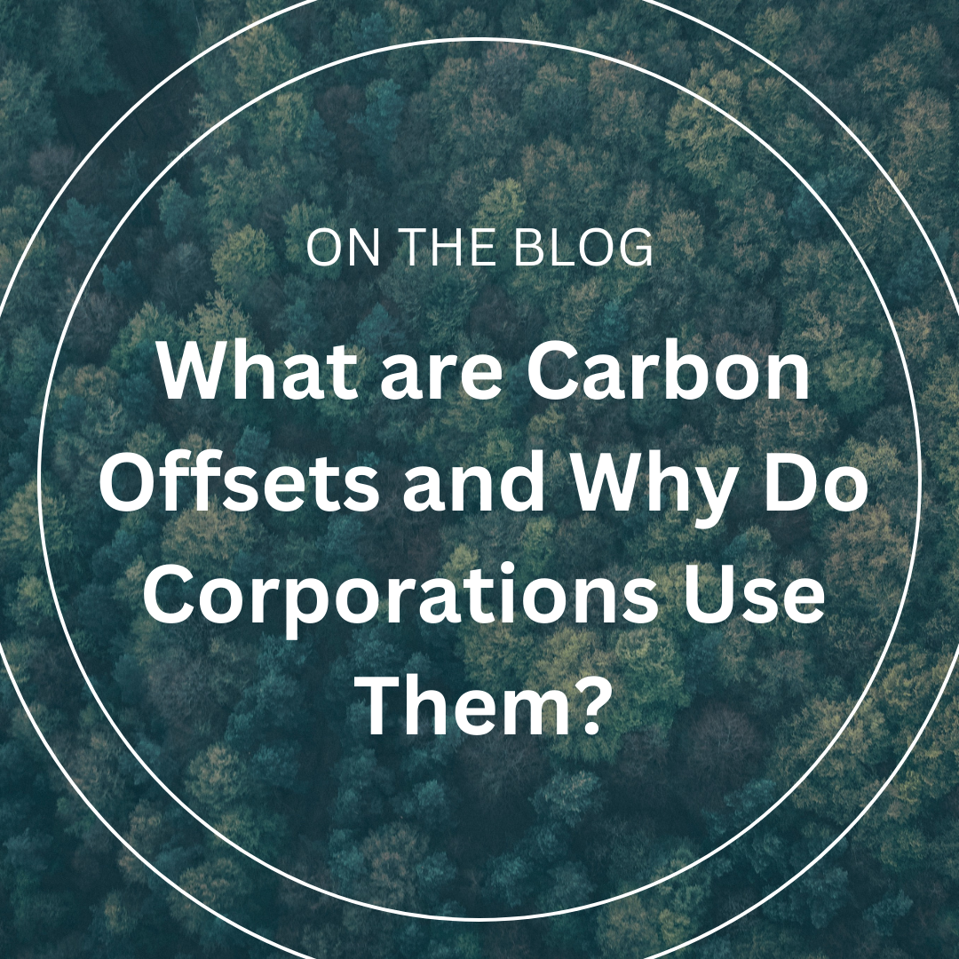 What Are Carbon Offsets and Why Do Corporations Use Them?