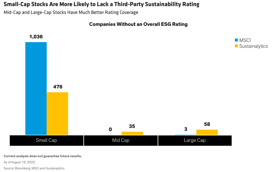 Small-Cap Stocks Are More Likely to Lack a Third-Party Sustainability Rating