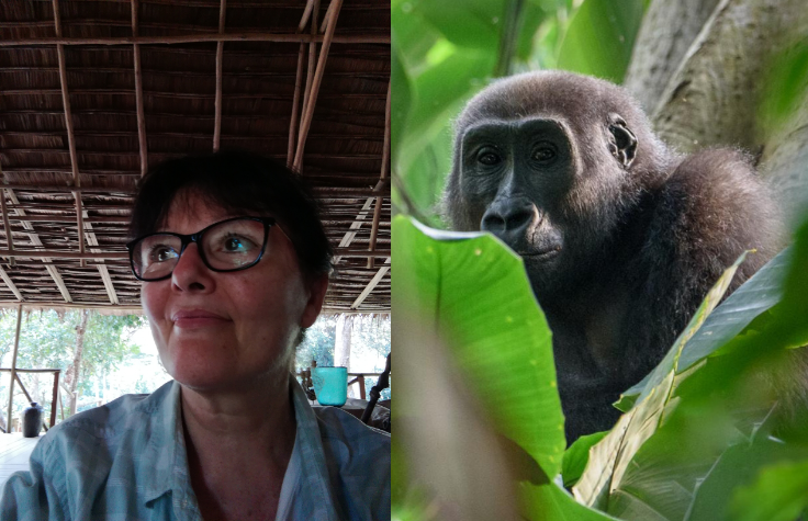 Dr. Magdalena Bermejo has been called at various times the Jane Goodall and Dian Fossey of western lowland gorillas. Among conservationists and academics, she is known as the world’s leading authority on these animals. Magdalena’s work at SPAC WCFS-Network is funded by the Hasso Plattner Foundation.