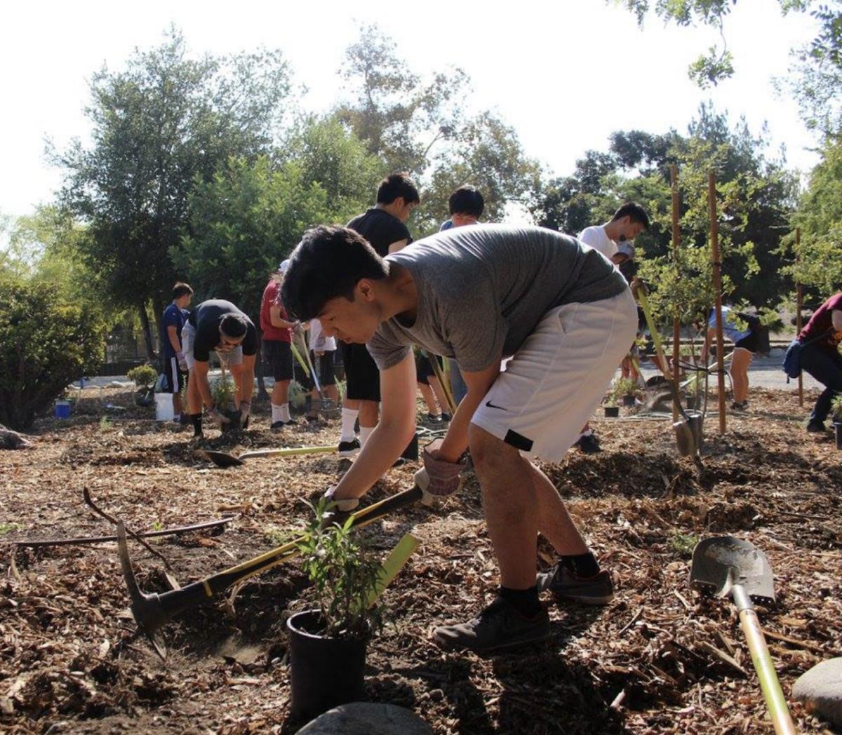 young people planting