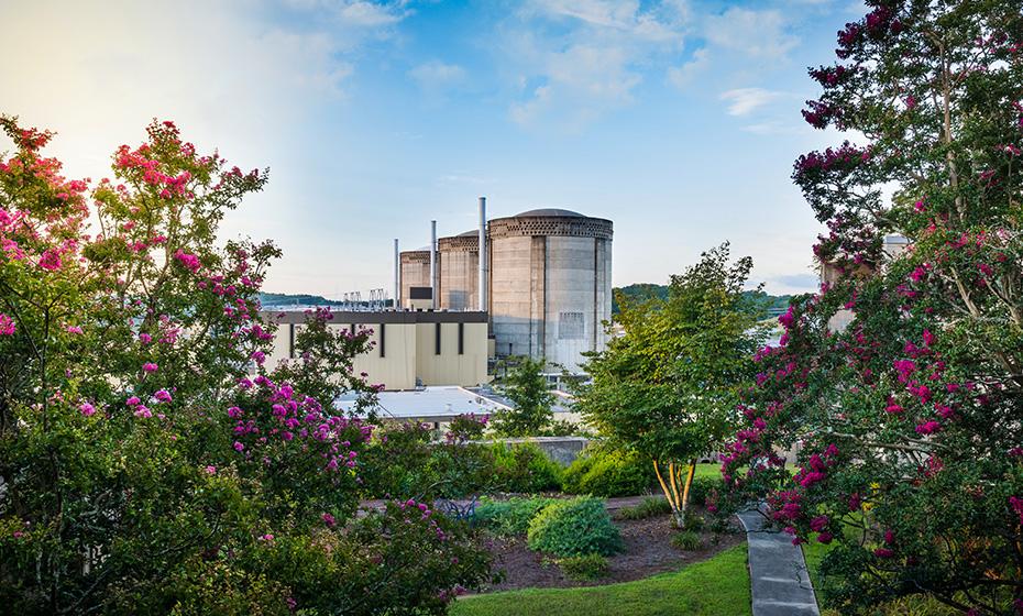 steam towers in the background, flowering bushes in front