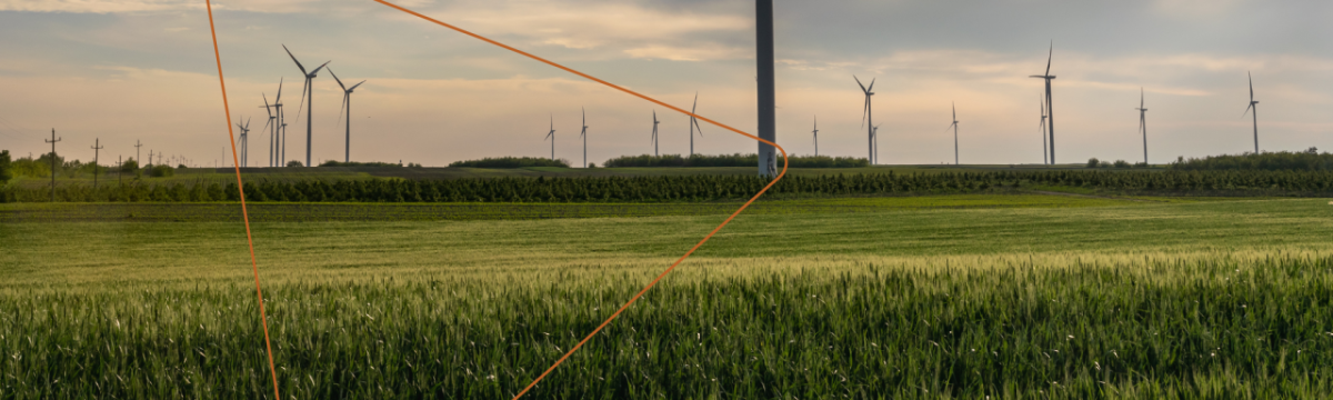 a large group of wind turbines in a field of wheat
