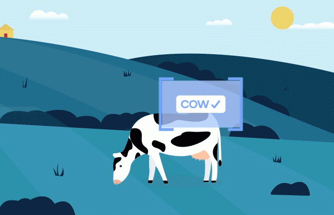 Basic digital images of a cow in a field being recognized as a "cow" and the same cow on a beach not being recognized.