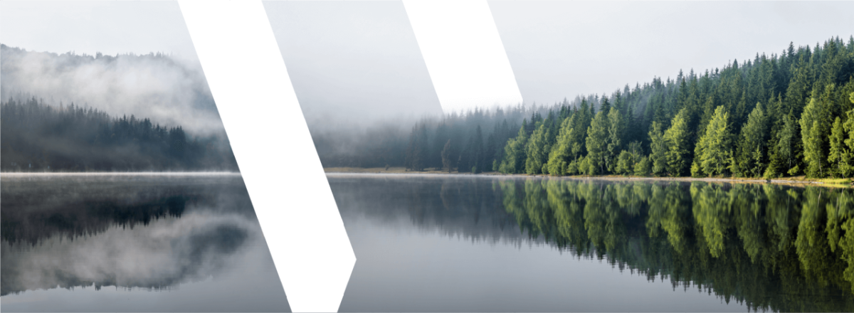 composite image of a woodland lake and white diagonal lines