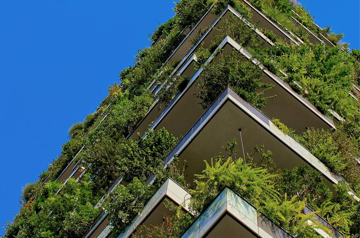 building with plants hanging over balcony