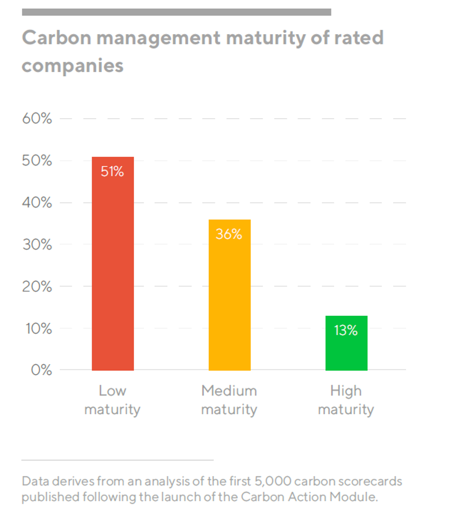 Graph showing carbon management maturity of related companies. Low maturity is 51%, Medium maturity is 36% and High maturity is 13%.