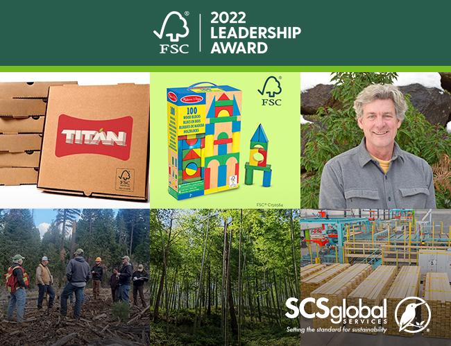 Bio Pappel, Element5, F&W Forestry, HP Inc., Melissa & Doug and the late Lafcadio Cortesi among winners of 2022 FSC Leadership Awards