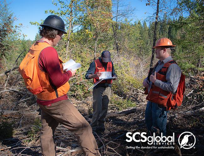 Three workers holding clipboards in a forest, with SCSglobal logo at the bottom of the image