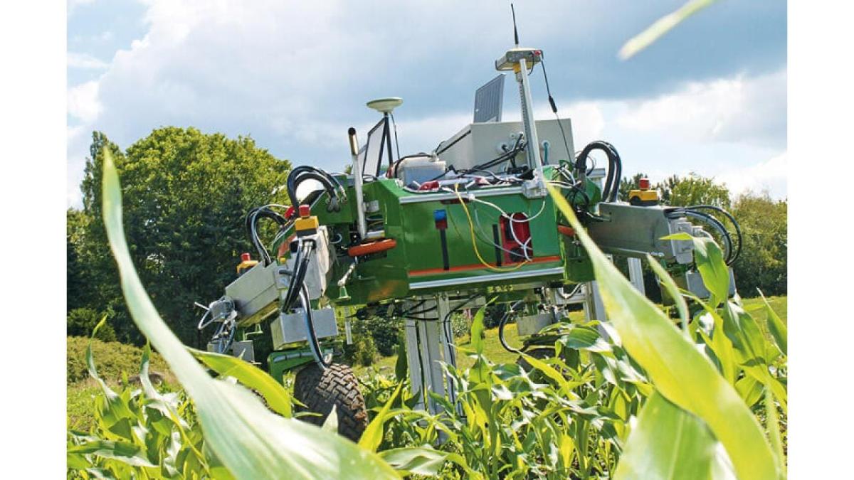robot in a field